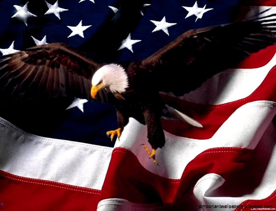 Awesome Eagle Front American Flag Wallpaper 8216 Wallpaper