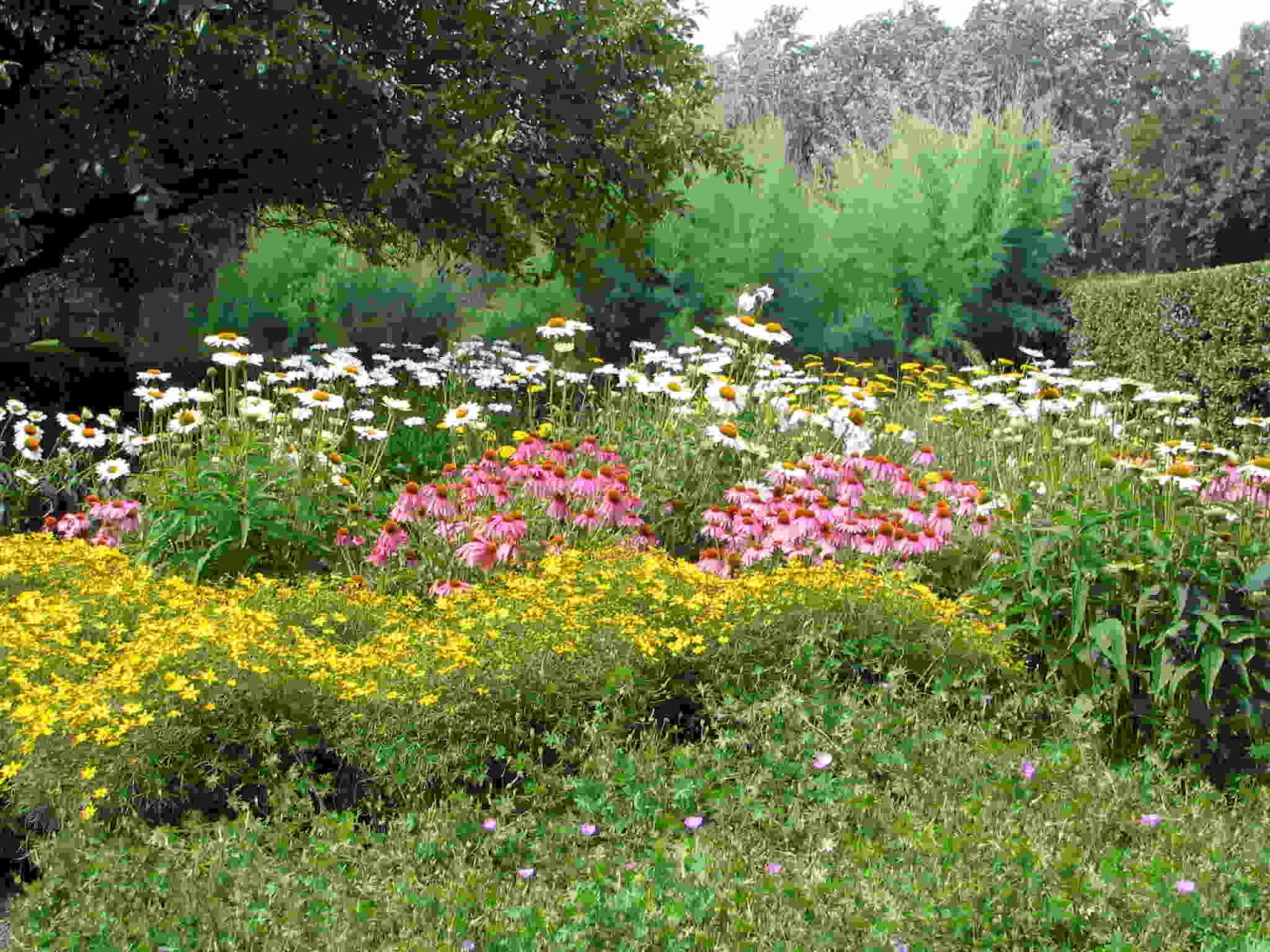 Garden Design: The best way to Have the Benefit of Cottage ... Garden Design The best way to Have the Benefit of Cottage
