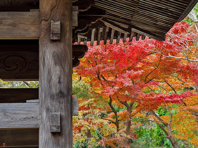 Autumn leaves: Engaku-ji