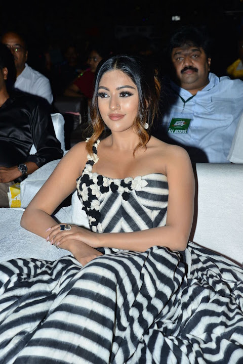 Anu Emmanuel at Naa Peru Surya Naa Illu India Pre Release Event