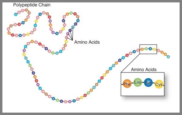 Future and Cosmos: Protein Folding Is 100 Times More Unsolved Than the