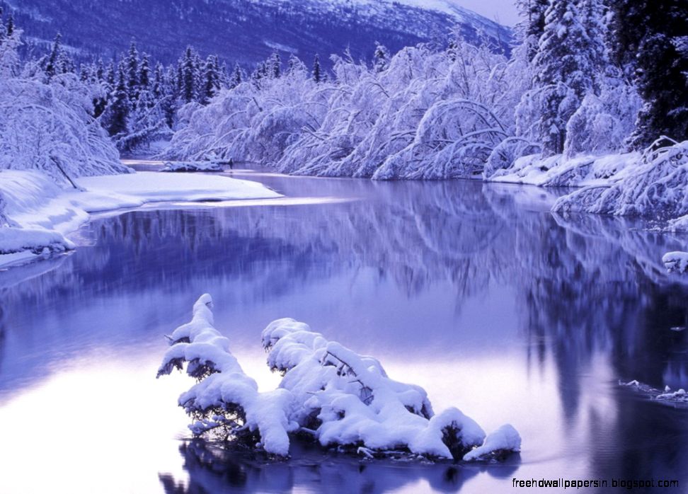 Winter Wallpapers and Backgrounds   w8themes