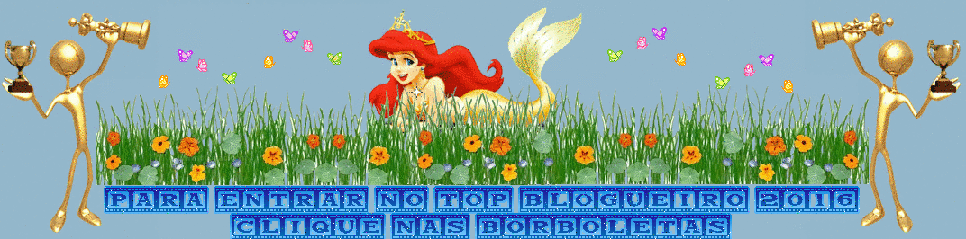 TOPBLOGUEIRO 2016 AS REGRAS