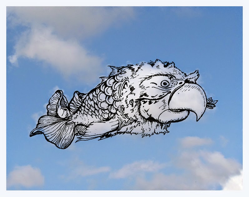 13-Parrot-Fish-Cloud-Martín-Feijoó-Images-in-the-Sky-Cloud-Drawings-www-designstack-co