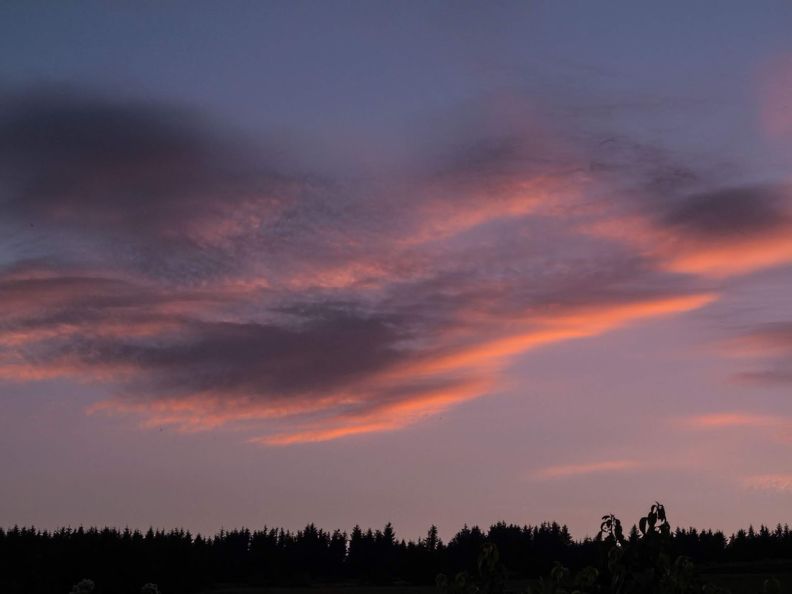 Wispy blue and pink sunset clouds in the Boggeragh Mountains.
