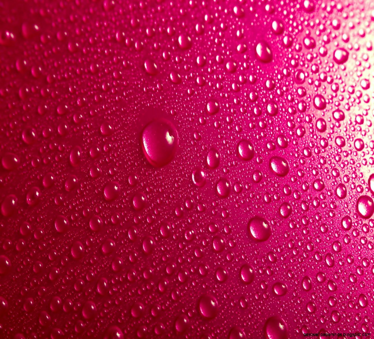 100 HDQ Pink HD Wallpapers  Desktop 4K FHDQ Pics