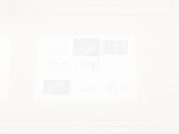 © Илья Федотов-Фёдоров