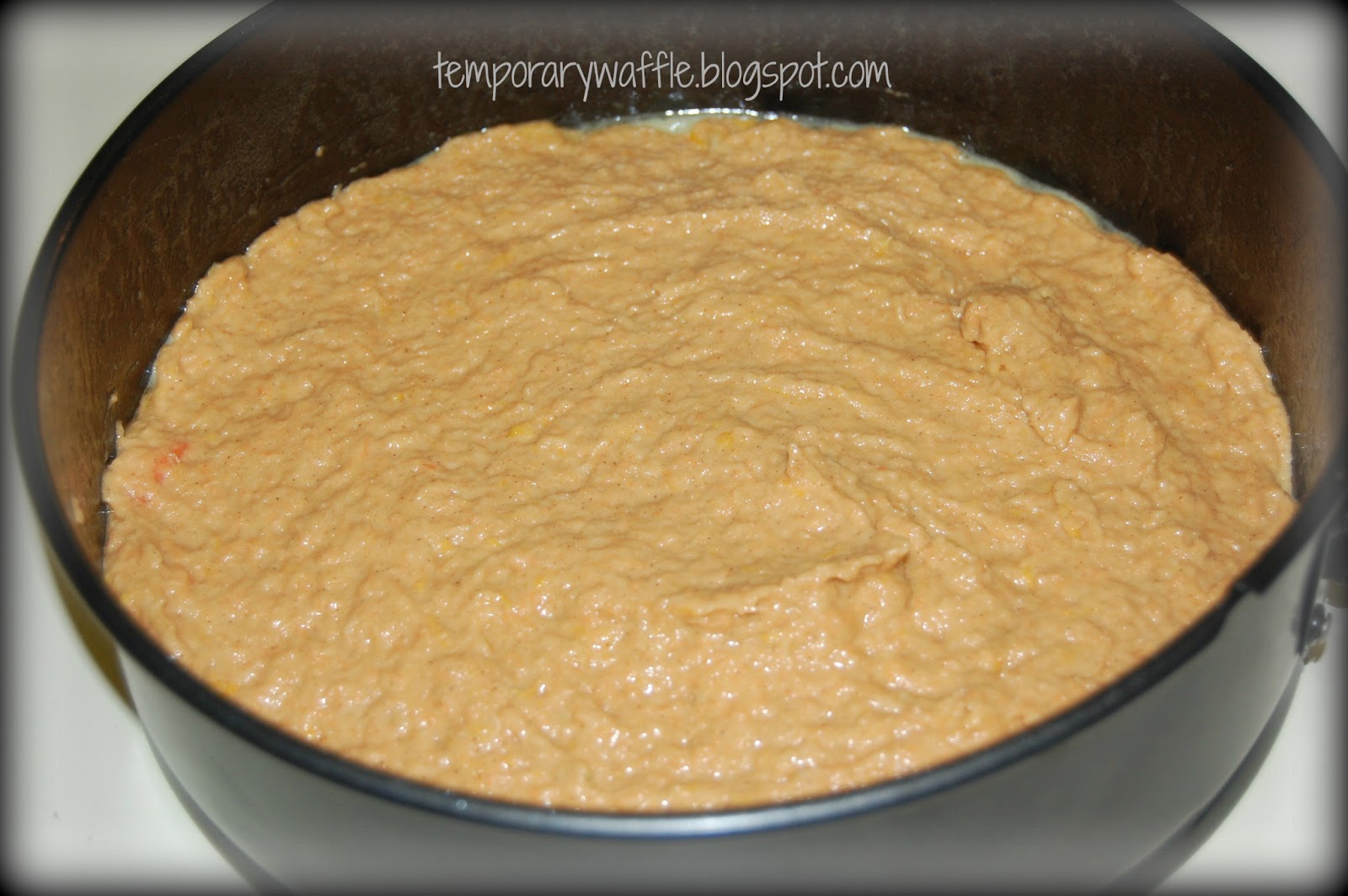 Temporary Waffle Juicer Pulp Cake!! {with recipe!}