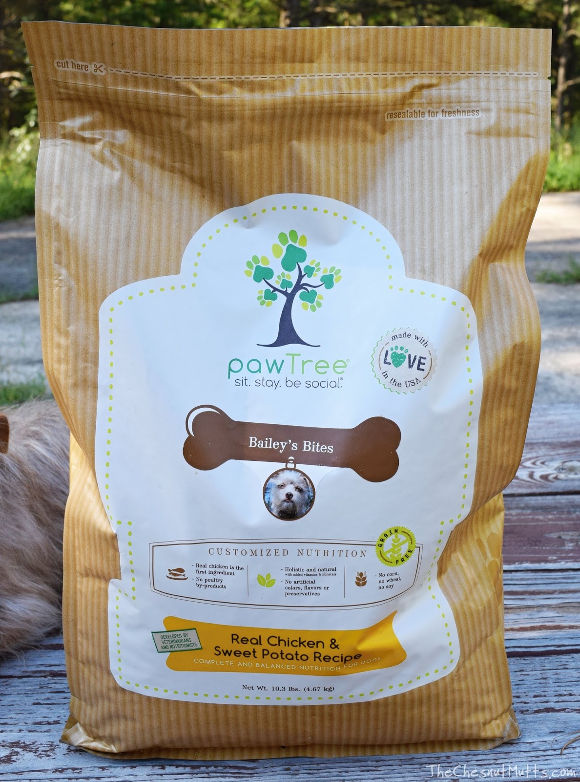 Review & Giveaway Taking out the Guesswork with pawTree® Customized