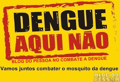 BLOG DO PESSOA - Vamos Juntos Combater o Mosquito da Dengue em Nossa Cidade
