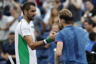 Cilic topples Goffin to reach U.S. Open quarter-finals