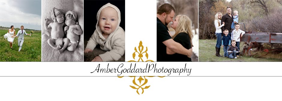 Amber Goddard Photography