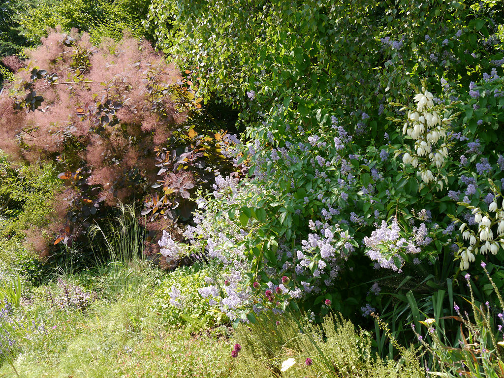GartenImpressionen NEPALHIMALAYAPAVILLON IN WIESENT