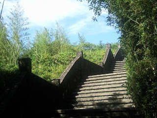 escalera rankear en las SERPs