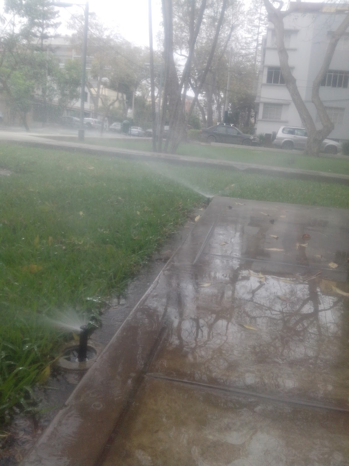 INSTALACIÓN, MANTENIMIENTO Y DISEÑO DE SISTEMAS DE RIEGO TECNIFICADO