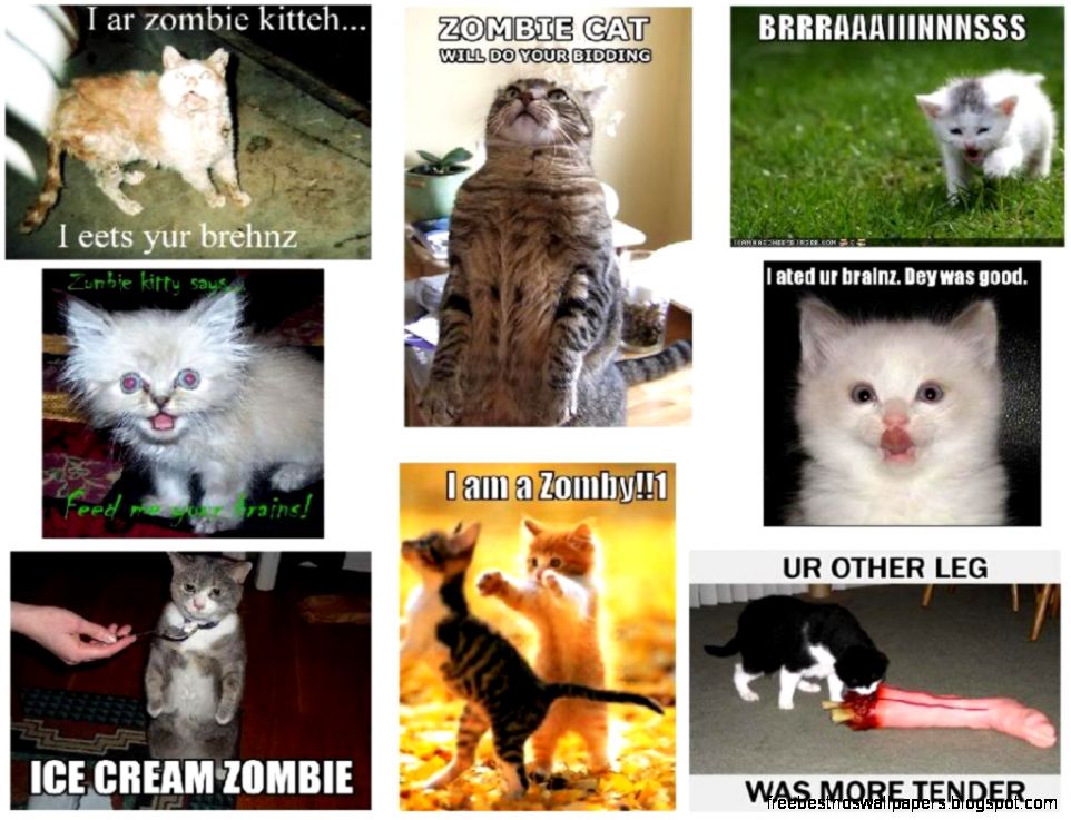 Zombie Cats Photo by TheCuteWoofer  Photobucket