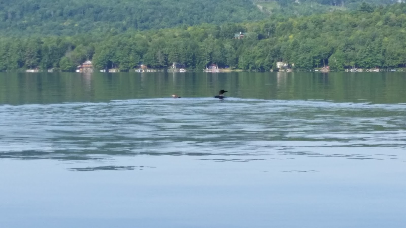 Recreational Kayaking in Maine Peabody Pond, Sebago/Bridgton, Maine