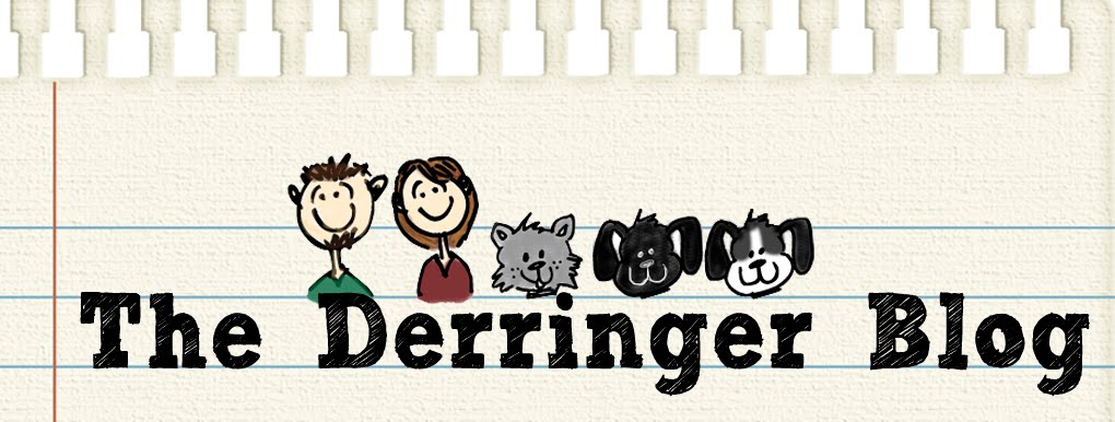 The Derringer Blog