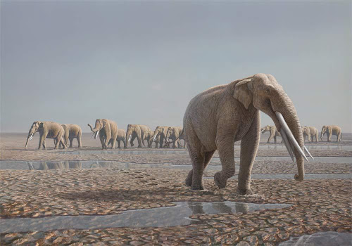 elefantes prehistoricos Stegotetrabelodon
