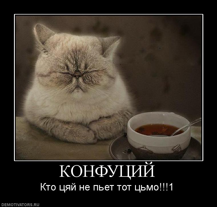 JM: Кто чай не пьет...