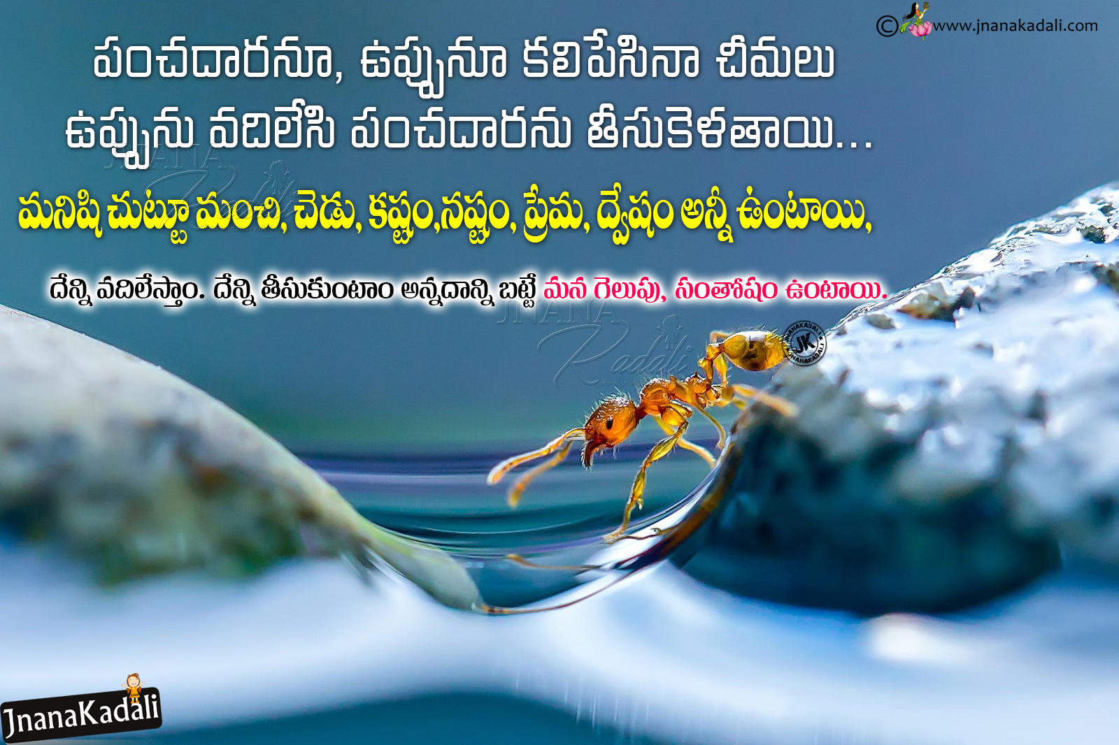 Best Words on Relationship in Telugu-Heart Touching Relationship ...