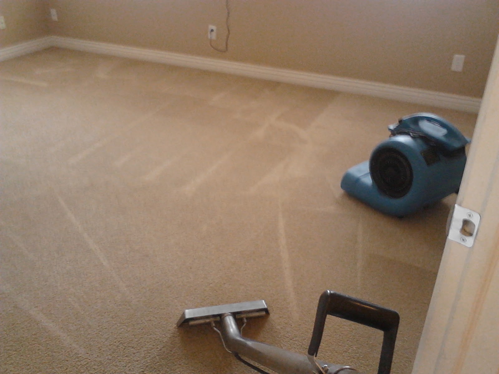 Alpine Professional Carpet Care CARPET CLEANING IN HIGHLAND UTAH