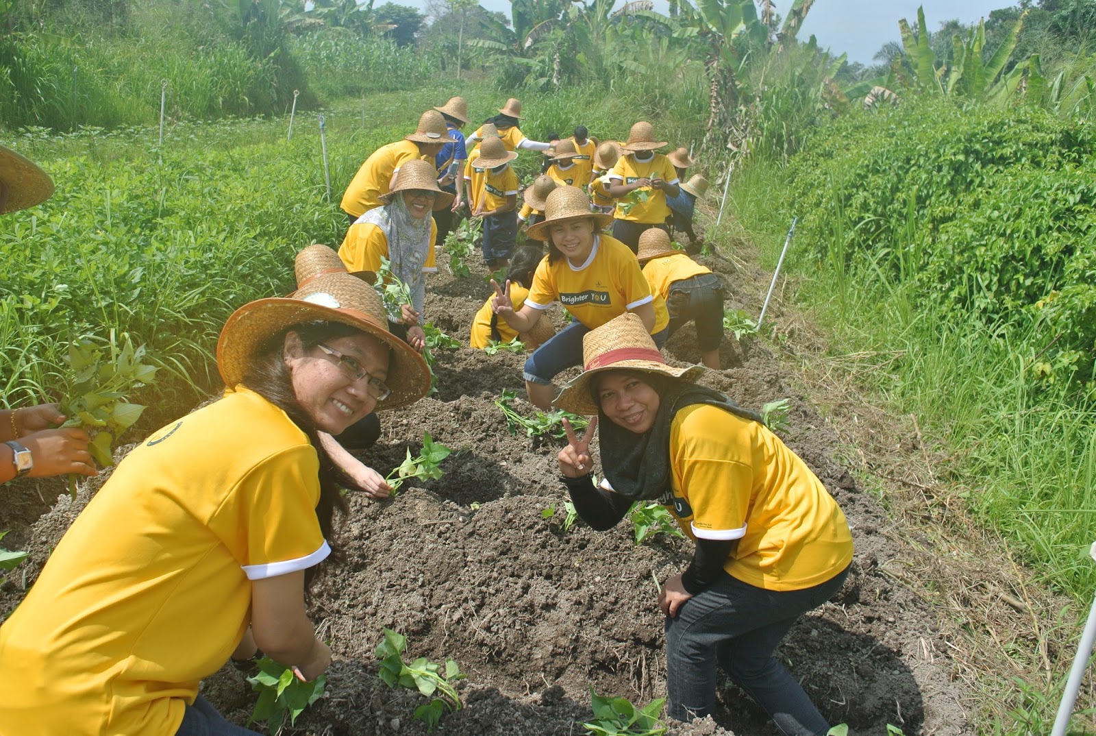 HOPE worldwide Malaysia: Sun Life Malaysia Brighter YOU Organic Farm ...