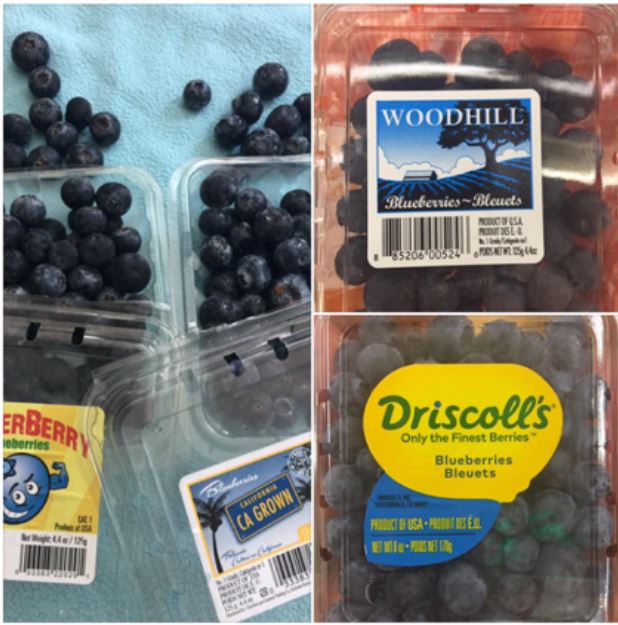 Blueberry FoodTech US Fresh Blueberries in Hong Kong