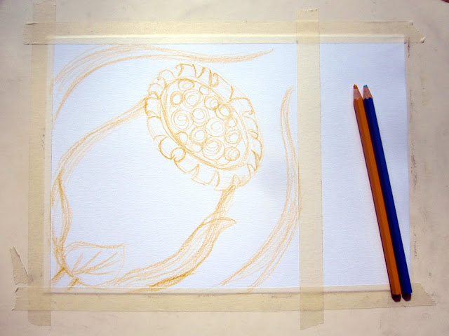 Flora watercolor paintings: Lilies and a seedpod. 