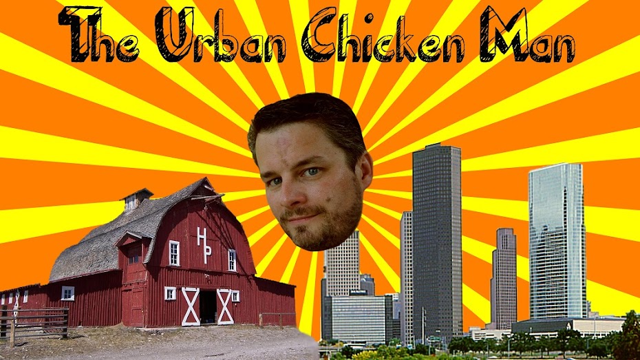 The Urban Chicken Experiment