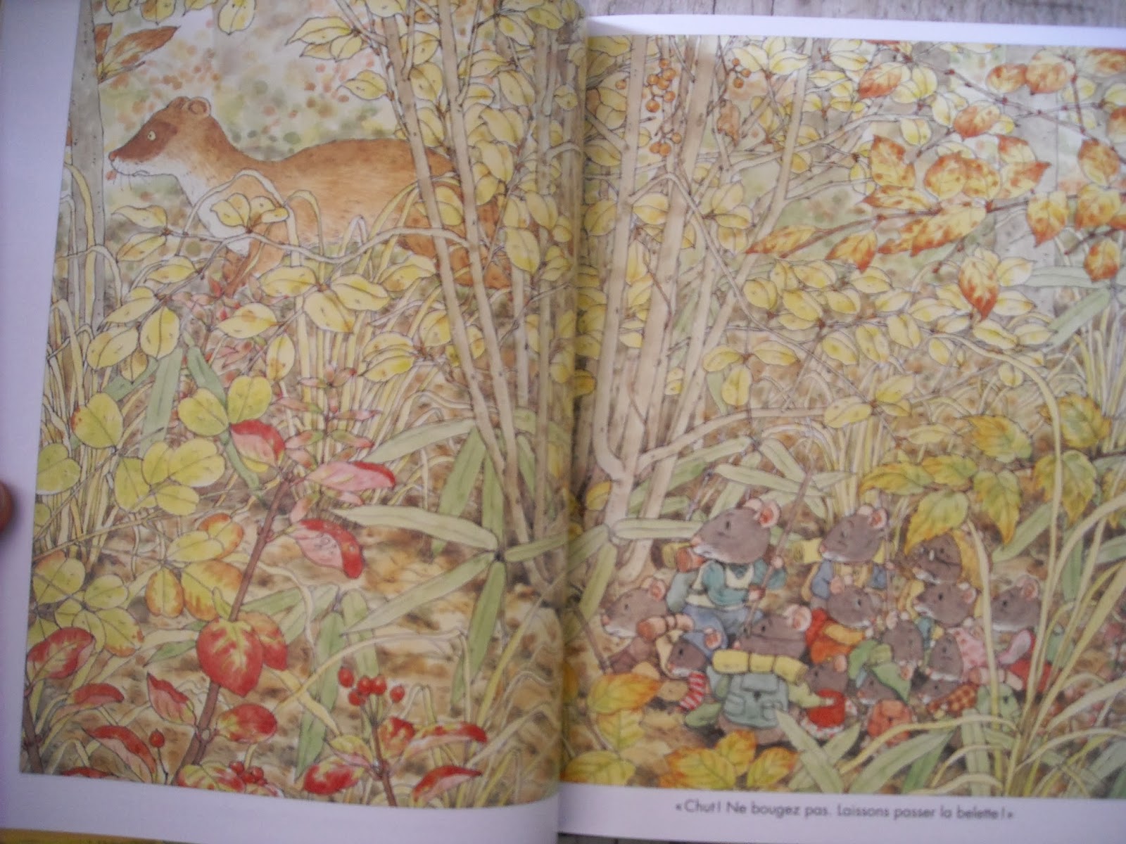 Les 4 Saisons De La Famille Souris Les 4 saisons de la famille souris de Kazuo Iwamura
