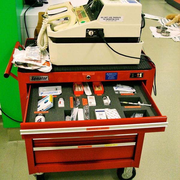 CRASH CART, AN EFFICIENT WAY TO EMERGENCY HEALTH SERVICES