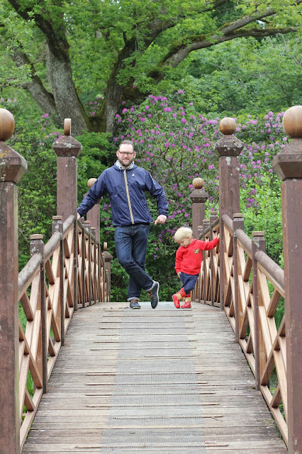 Oriental bridge 