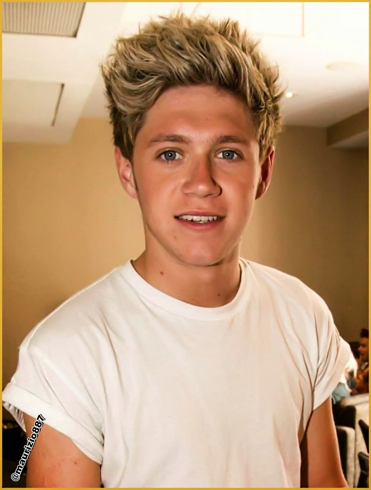 One Direction INA Biografi Niall Horan