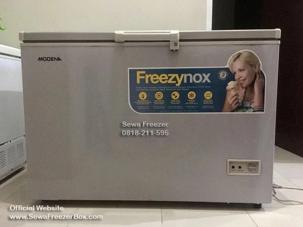 sewa freezer daging 300 liter Jember