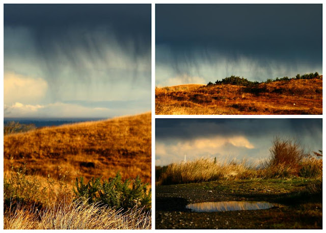  Connemara collage © Annie Japaud Photography, landscape, nature, Connemara, Ireland,   