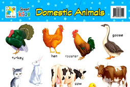 domestic animals chart Charts:domestic animals: buy charts:domestic
animals online at low