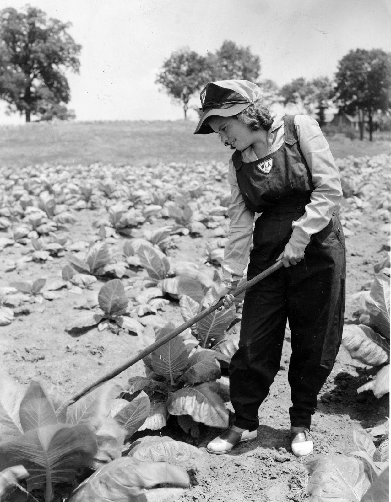 Curiosities & Wonders Women's Land Army