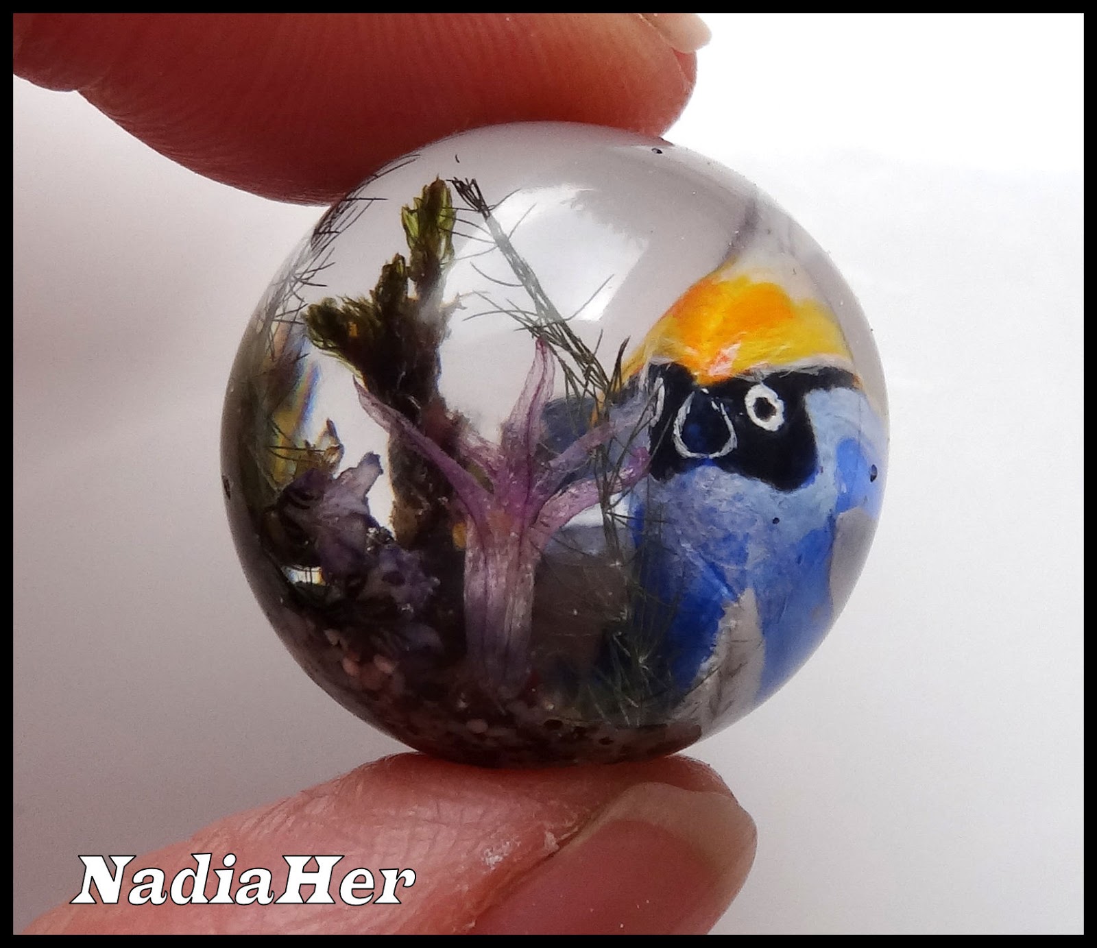 Bulle aquarium à quatre mains.