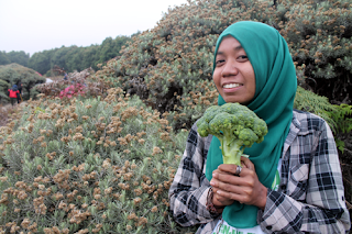 gunung papandayan garut