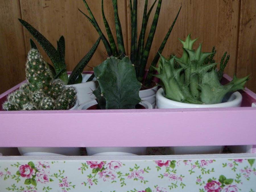 isabelvintage-vintage-caja-fruta-madera-decorada-decoupage