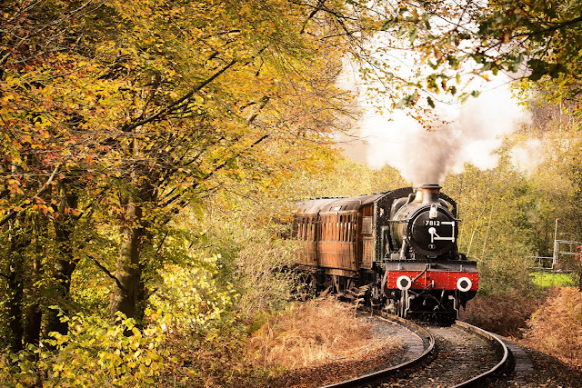 Relax With A Fall Foliage Train Ride