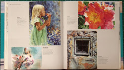webb david watercolour complete pages