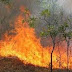 46 δασικές πυρκαγιές κατά τη διάρκεια του τελευταίου 24ώρου