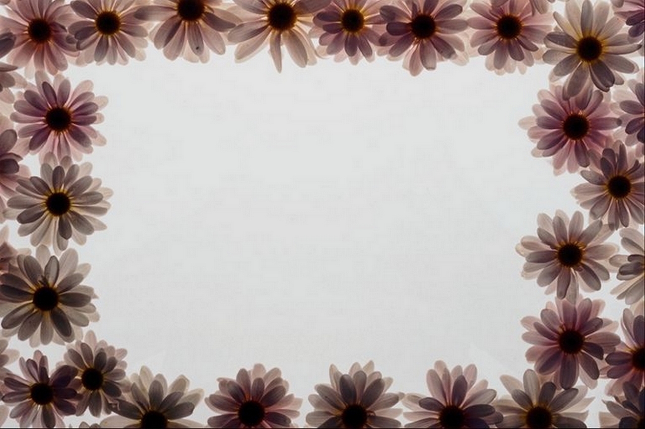 Frames wallpapers Nice Pics Gallery