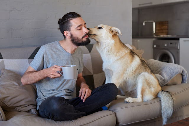 A dog kisses a man who is sitting on the sofa with his coffee