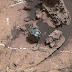 Curiosity scopre un meteorite ferroso su Marte
