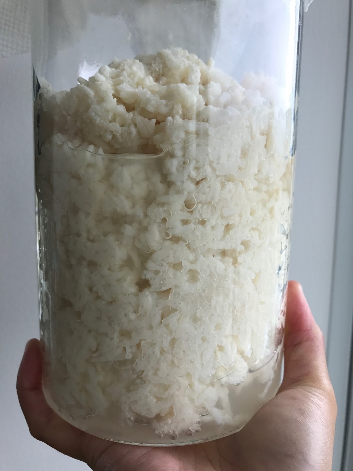 Once upon a cook Mama's Fermented Sweet Rice Wine ｜ 媽媽自家甜酒釀做法