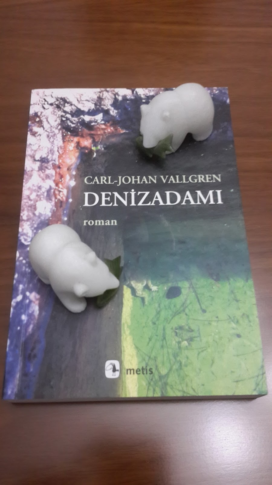 CARLJOHAN VALLGREN DENİZADAMI