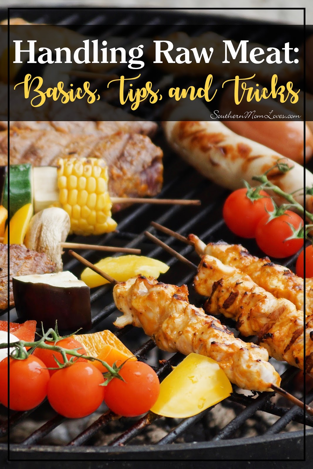 Southern Mom Loves Handling Raw Meat Basics, Tips, and Tricks